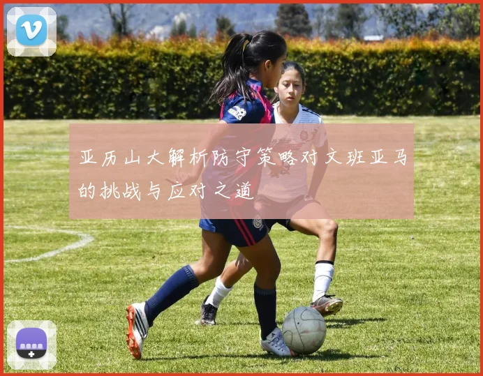 亚历山大解析防守策略对文班亚马的挑战与应对之道